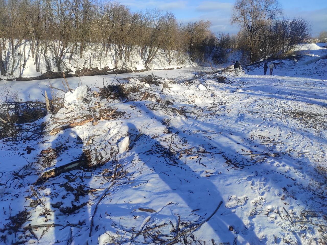 Распил садов у Белого дома - новости Владимирской области